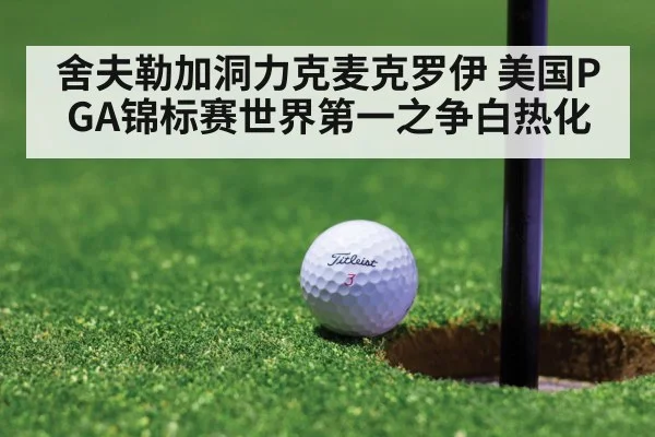 舍夫勒加洞力克麦克罗伊 美国PGA锦标赛世界第一之争白热化