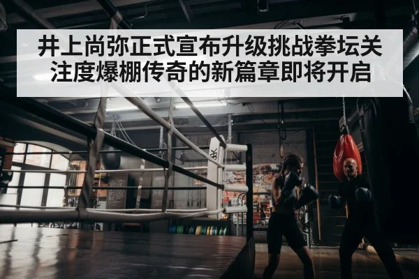 boxer training